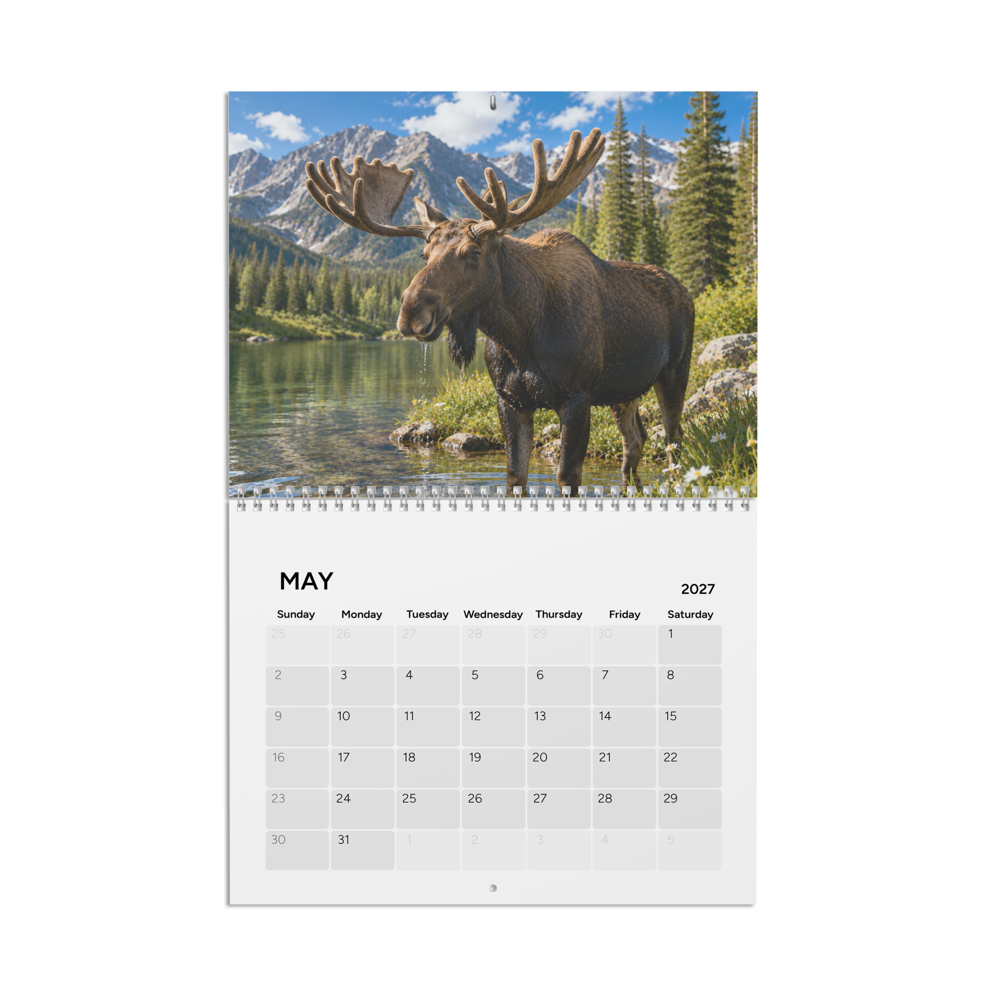 Product gallery image
