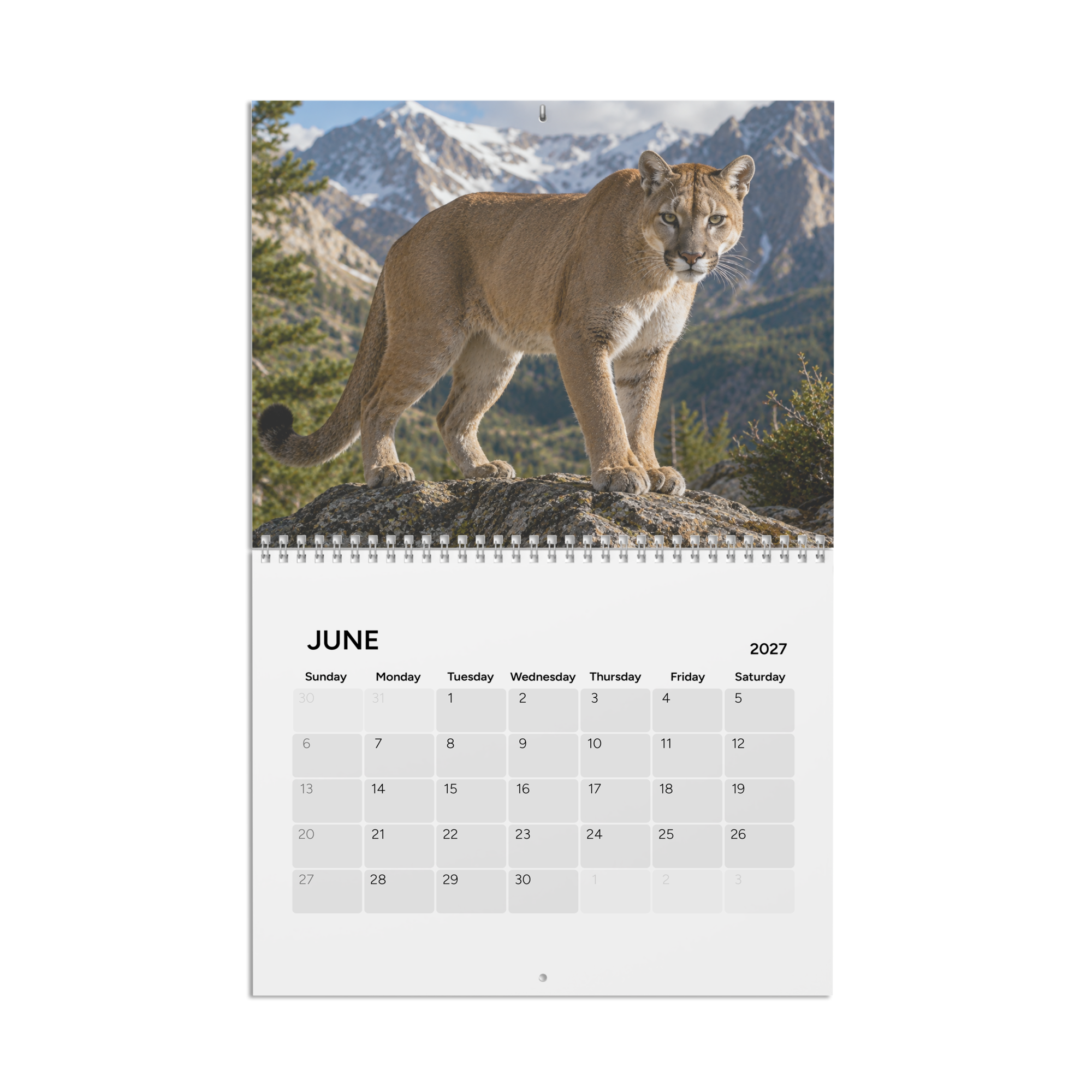 Product gallery image