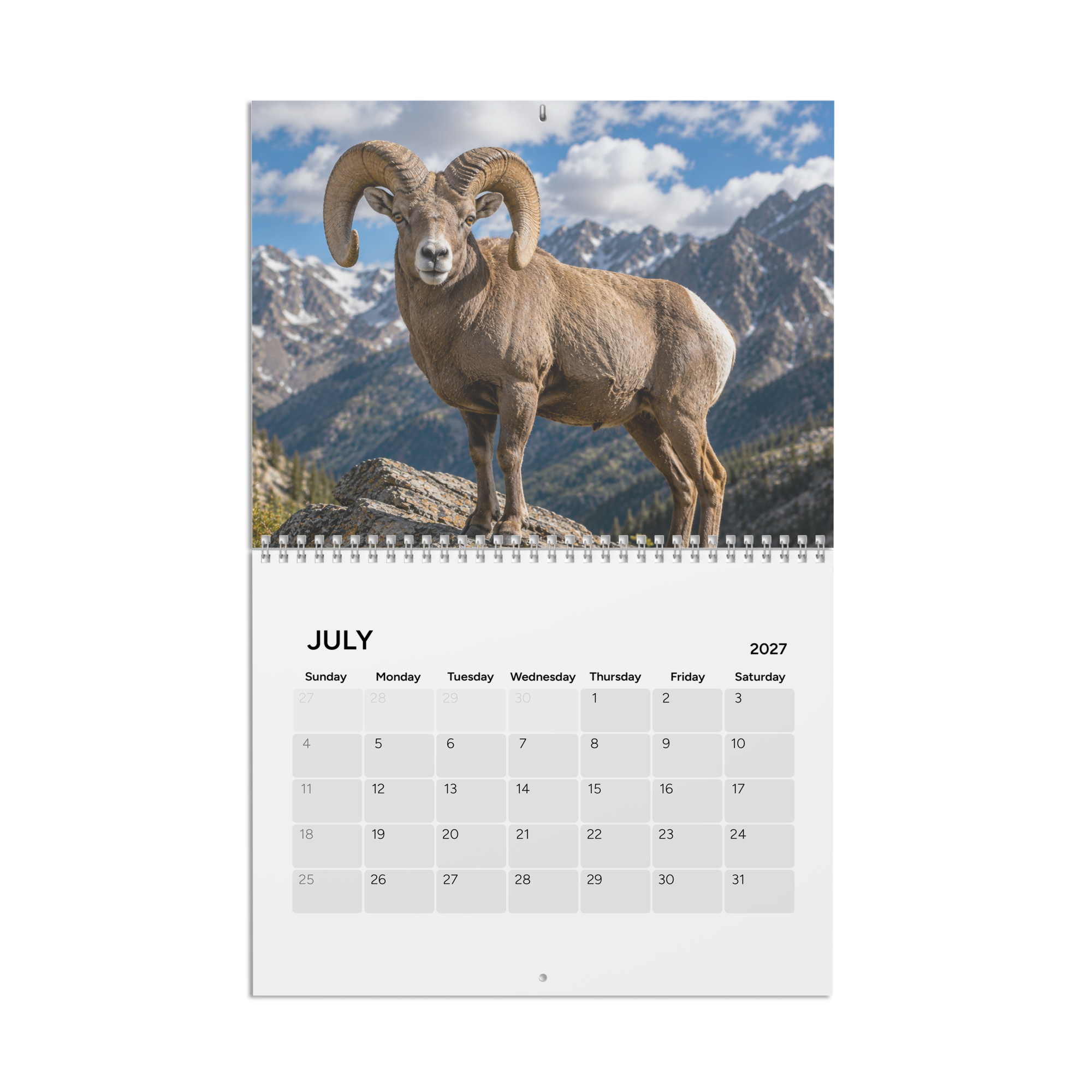 Product gallery image