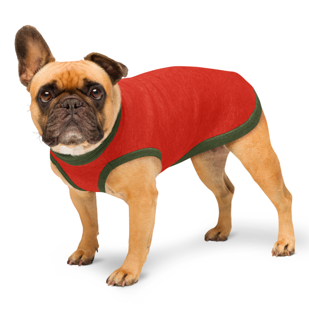 Knitted pet sweater