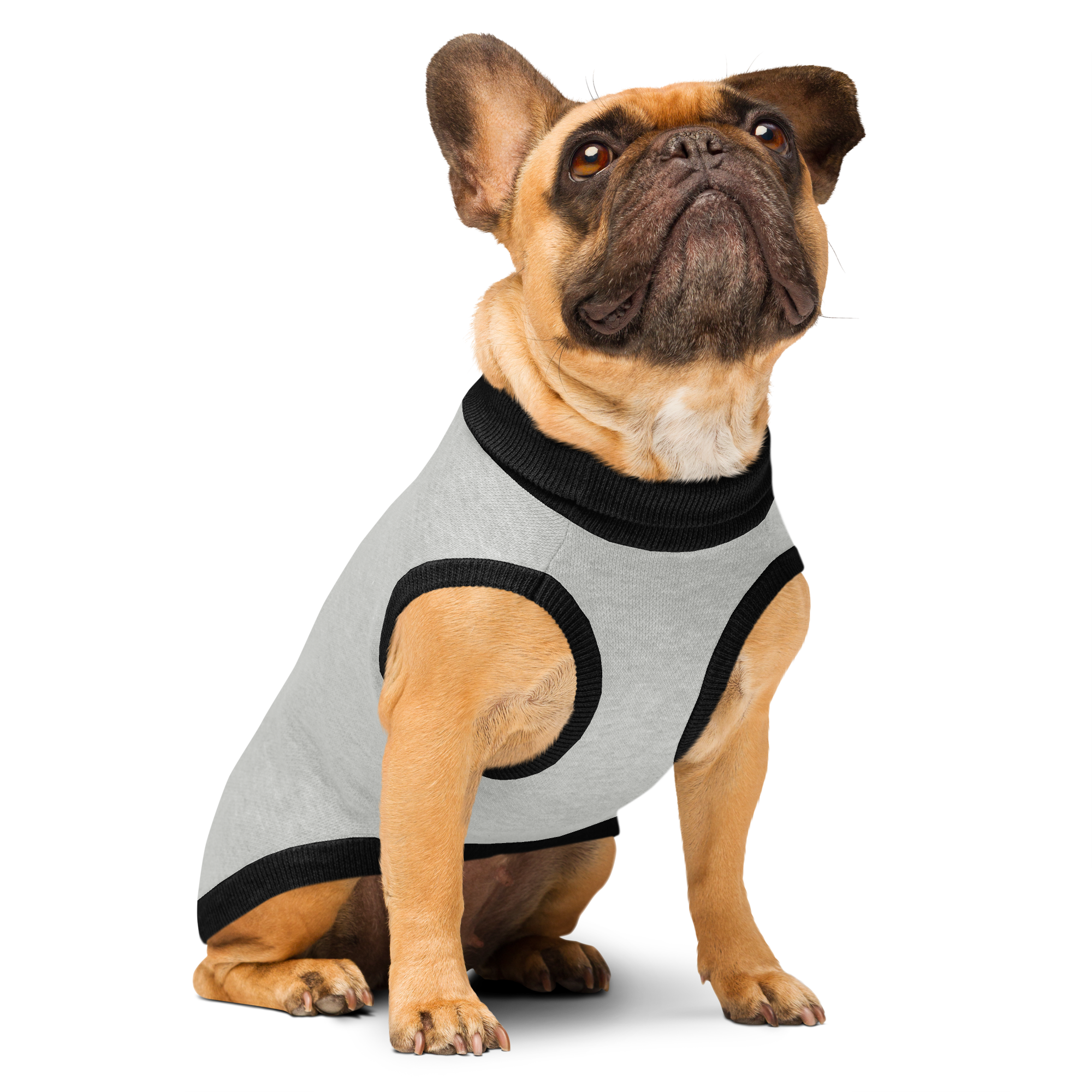Knitted pet sweater