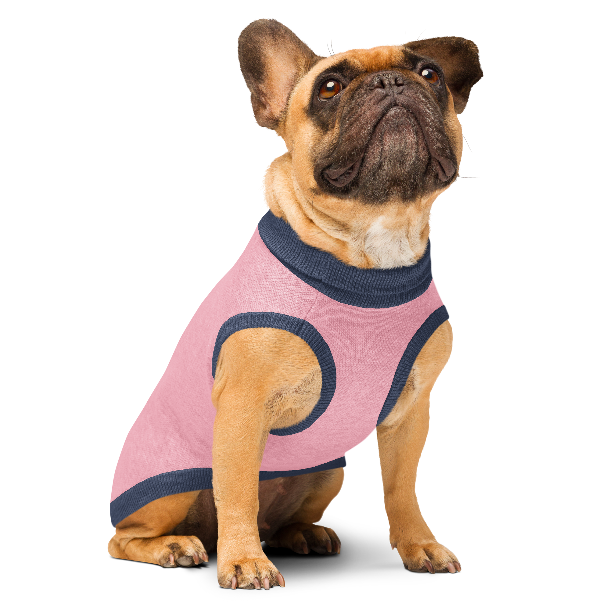 Knitted pet sweater