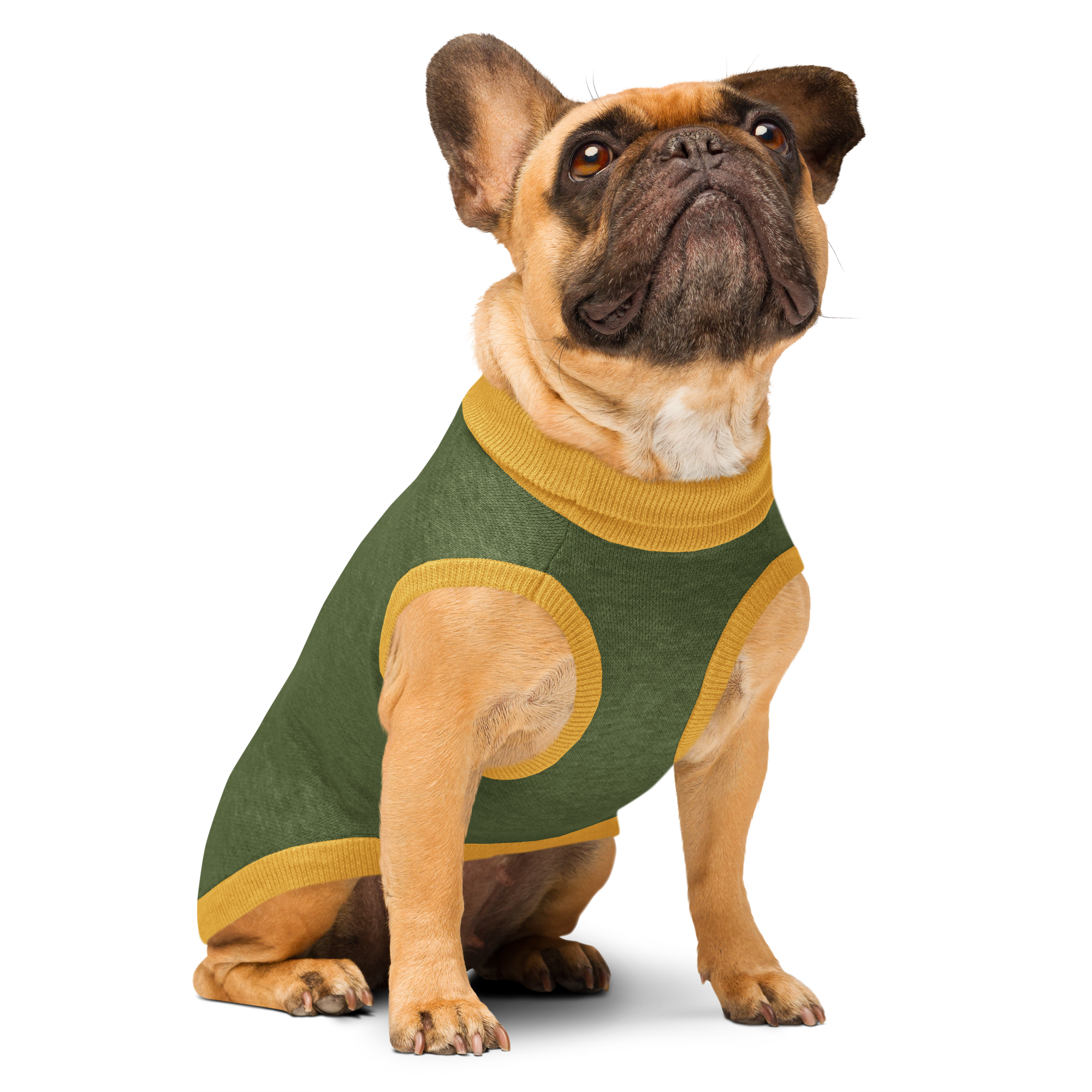 Knitted pet sweater