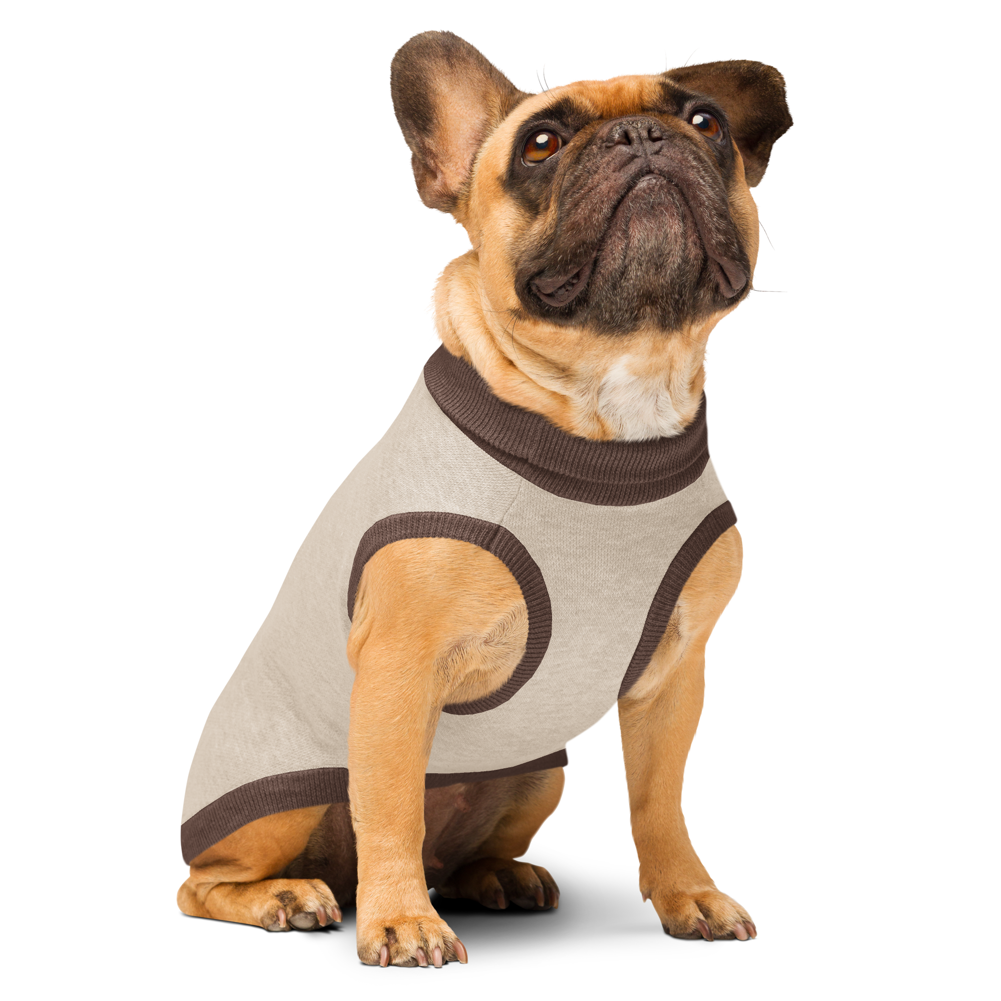 Knitted pet sweater