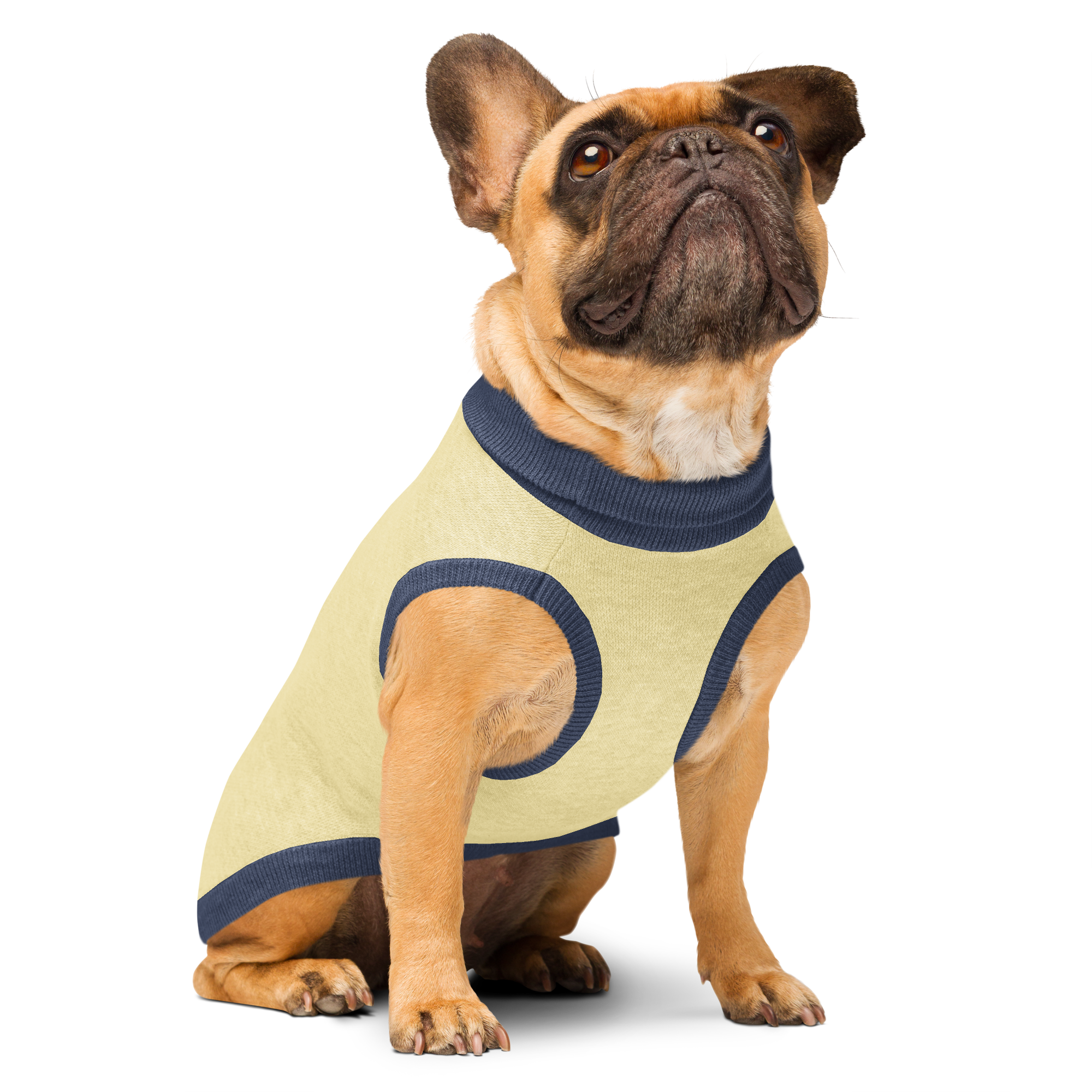 Knitted pet sweater
