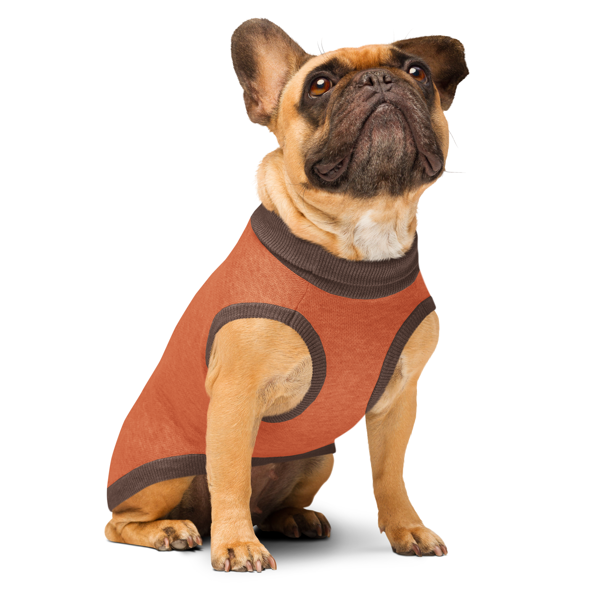 Knitted pet sweater
