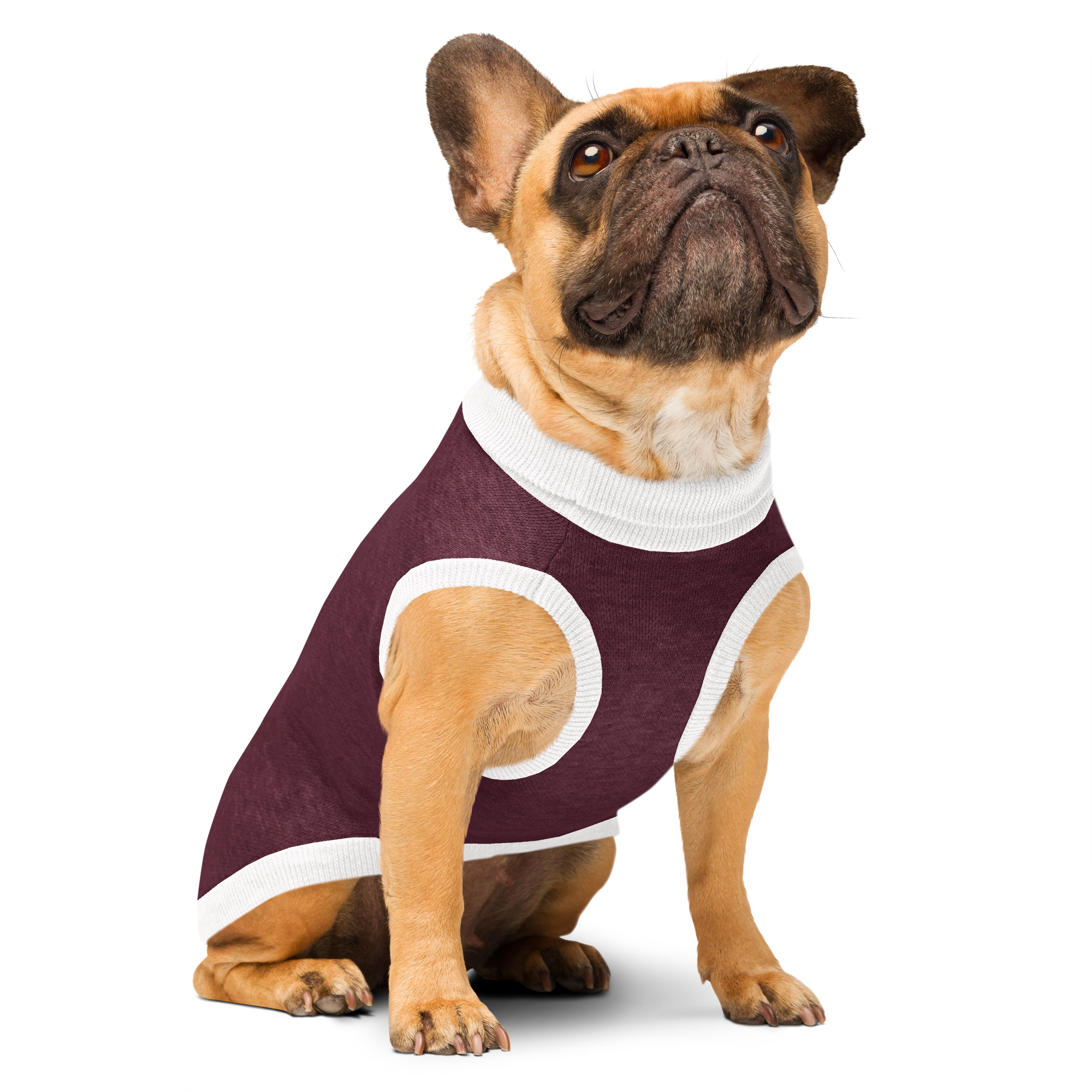 Knitted pet sweater