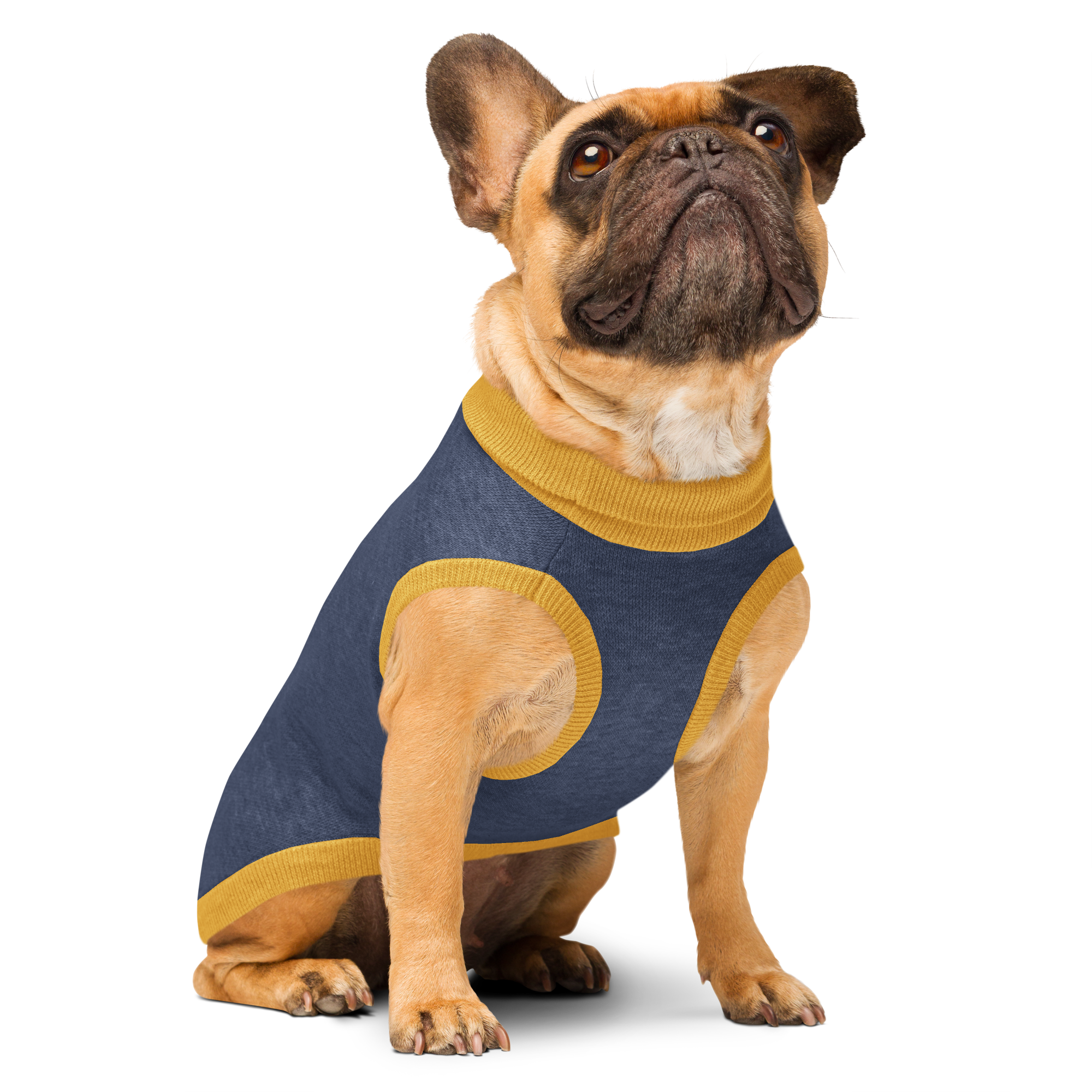 Knitted pet sweater