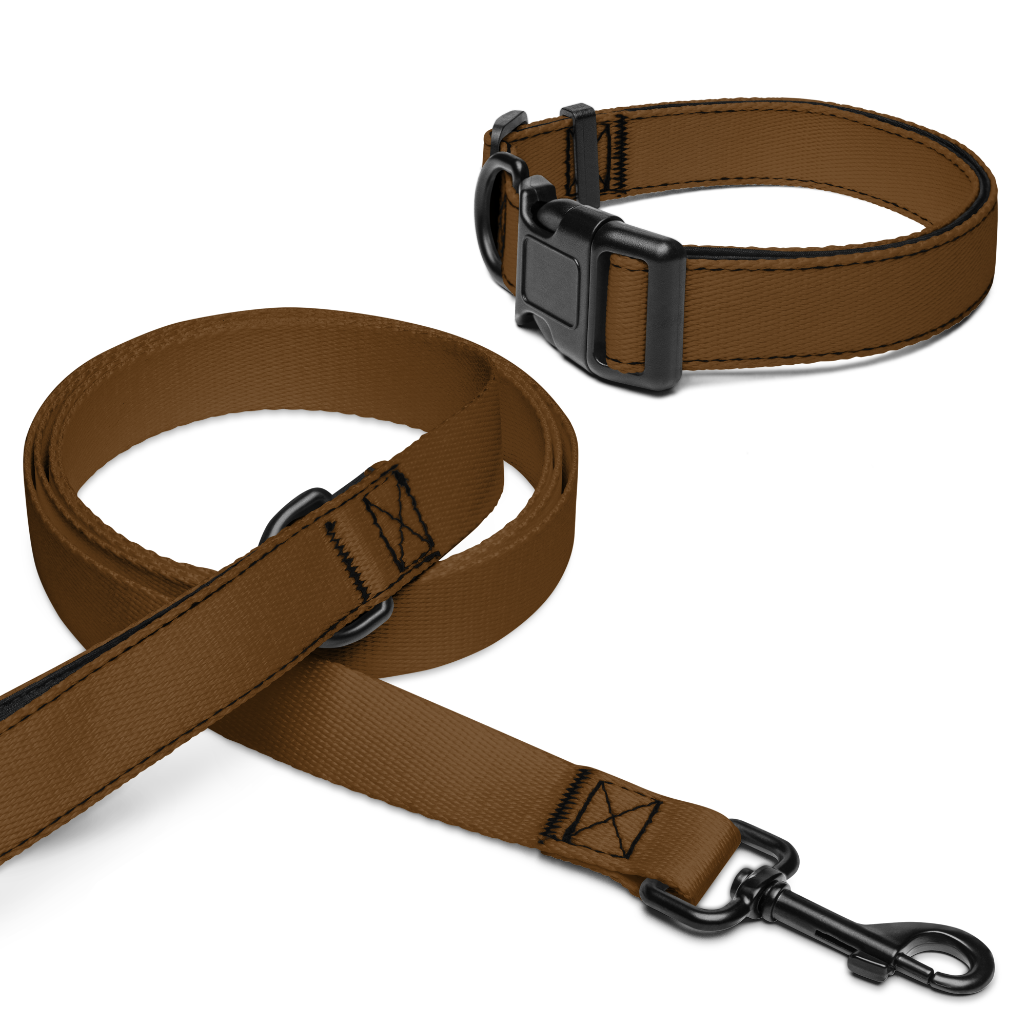 Pet collar & leash