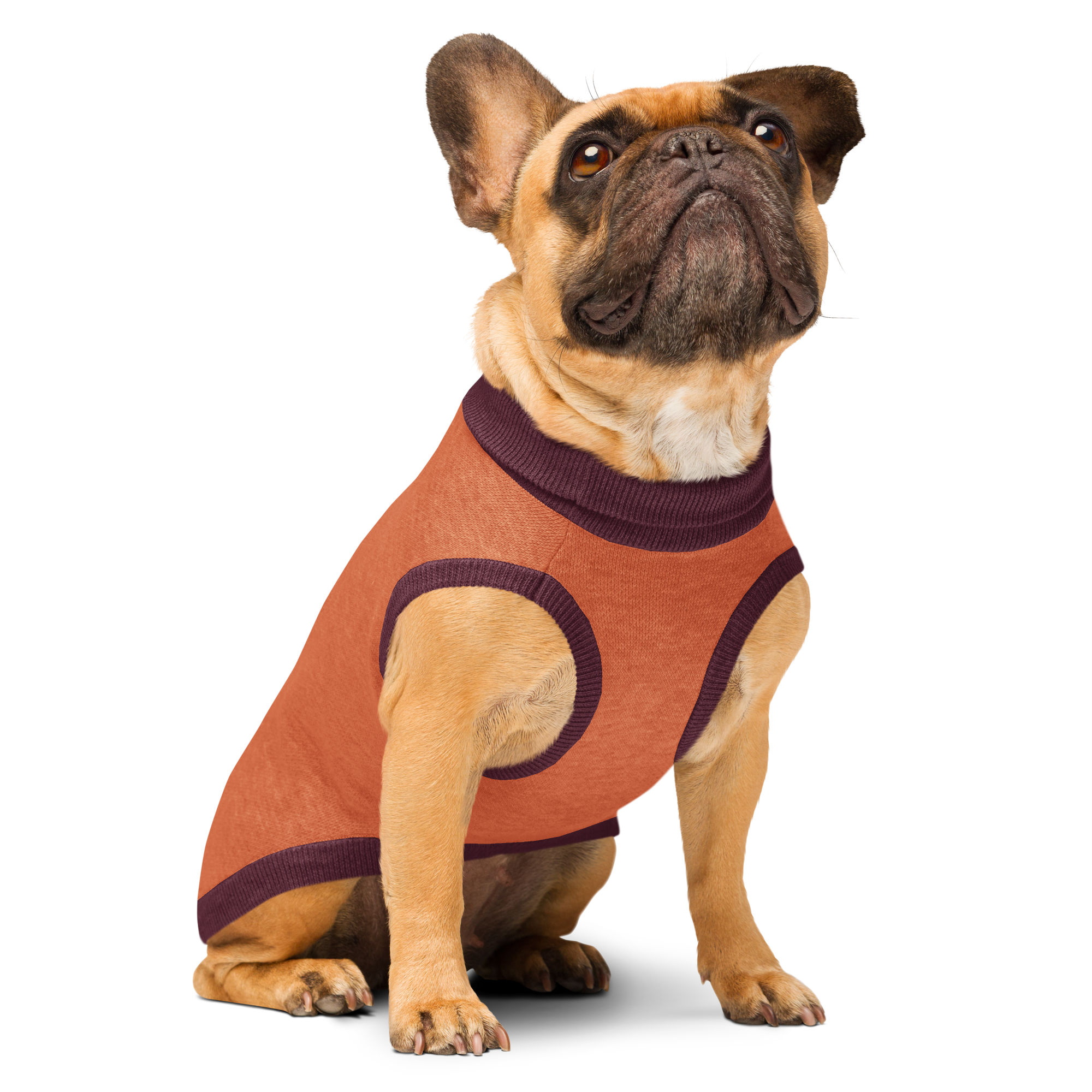 Knitted pet sweater
