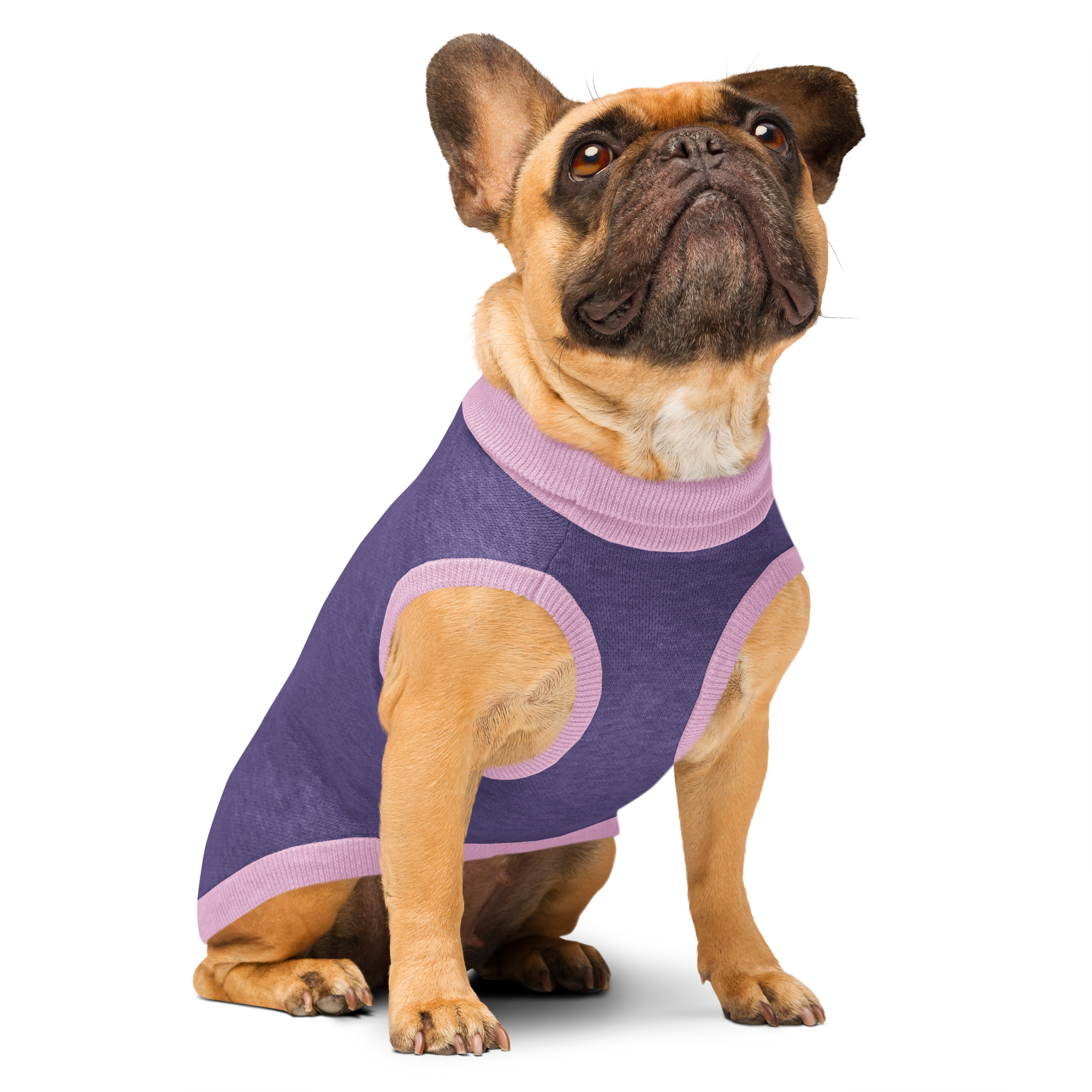 Knitted pet sweater