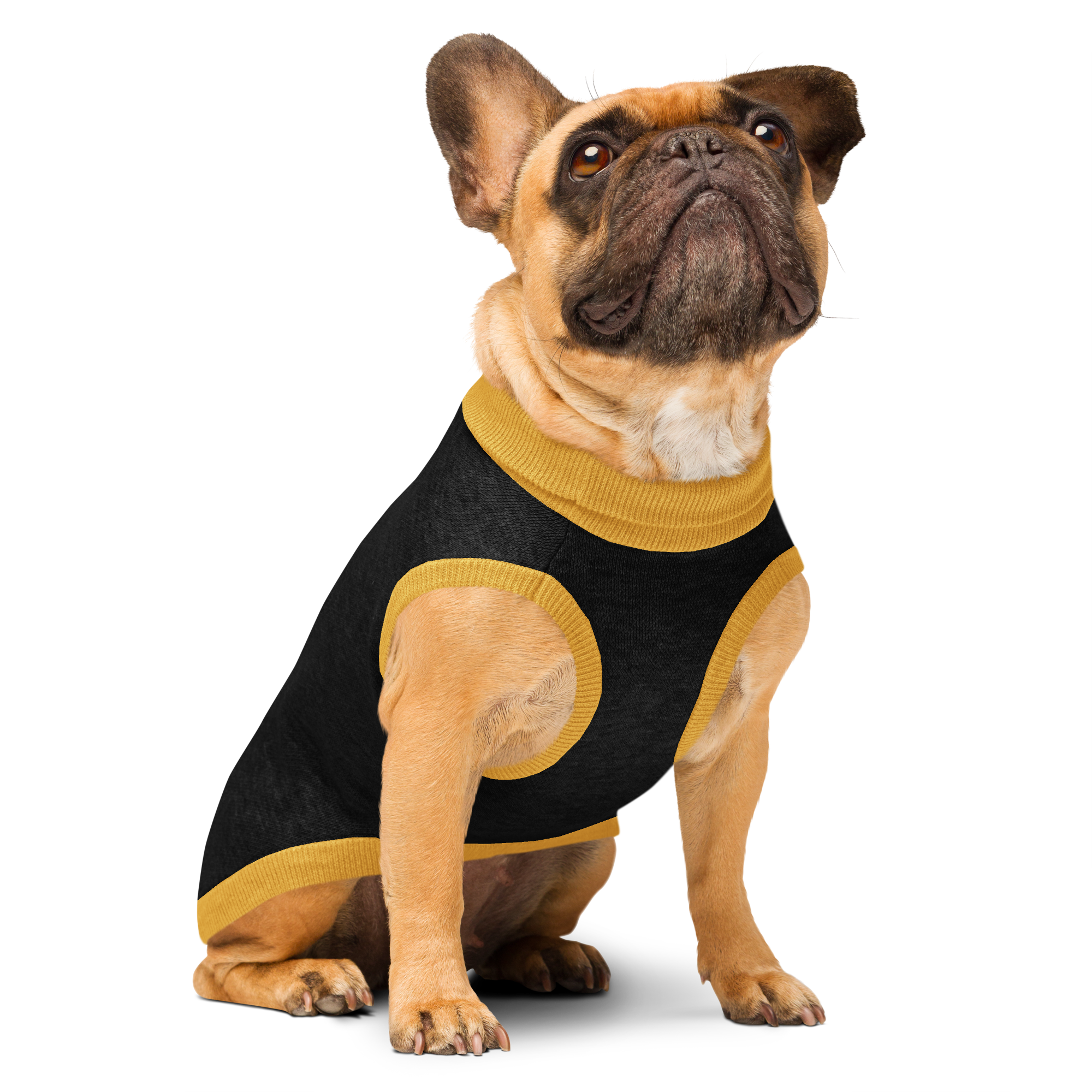 Knitted pet sweater