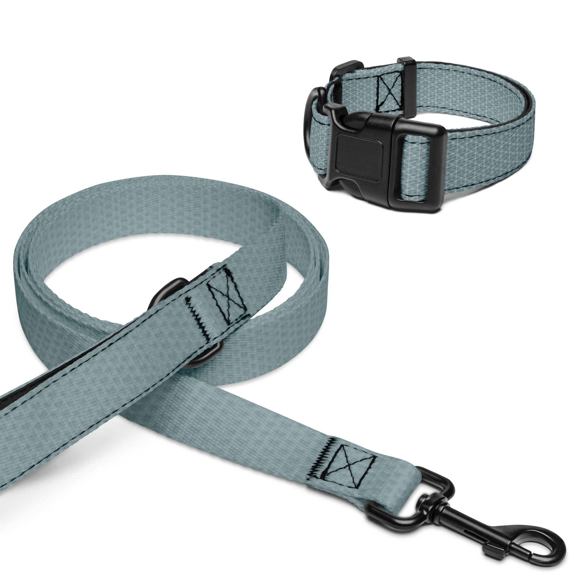 Pet collar & leash